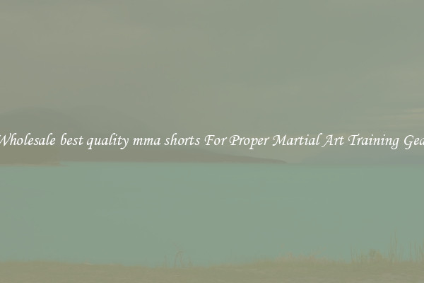 Wholesale best quality mma shorts For Proper Martial Art Training Gear