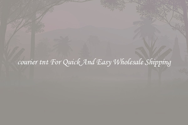 courier tnt For Quick And Easy Wholesale Shipping