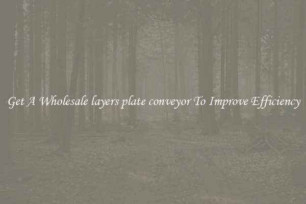 Get A Wholesale layers plate conveyor To Improve Efficiency