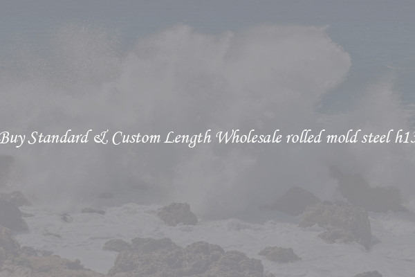 Buy Standard & Custom Length Wholesale rolled mold steel h13