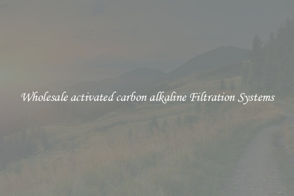 Wholesale activated carbon alkaline Filtration Systems