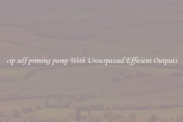 cip self priming pump With Unsurpassed Efficient Outputs