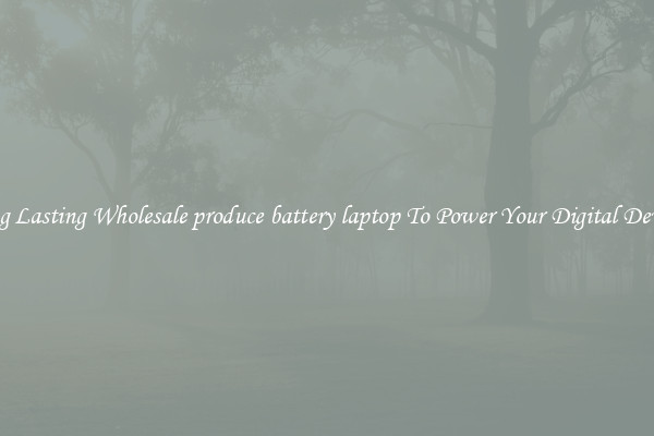 Long Lasting Wholesale produce battery laptop To Power Your Digital Devices