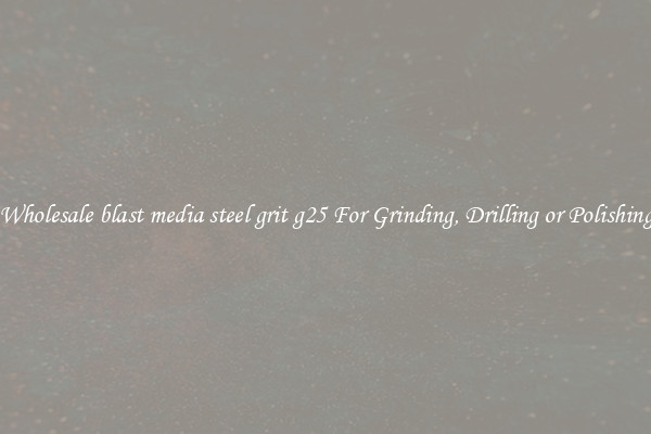 Wholesale blast media steel grit g25 For Grinding, Drilling or Polishing