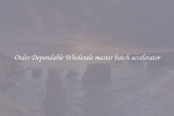 Order Dependable Wholesale master batch accelerator