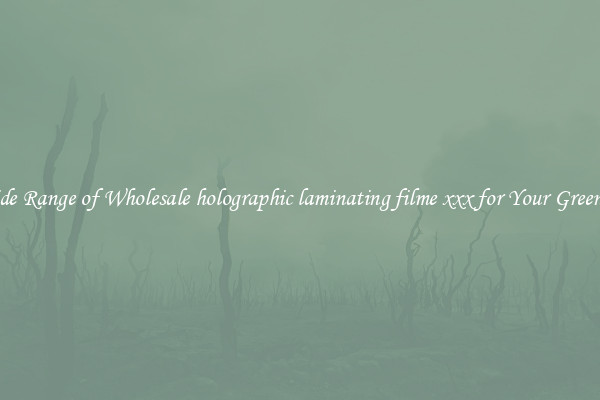 A Wide Range of Wholesale holographic laminating filme xxx for Your Greenhouse