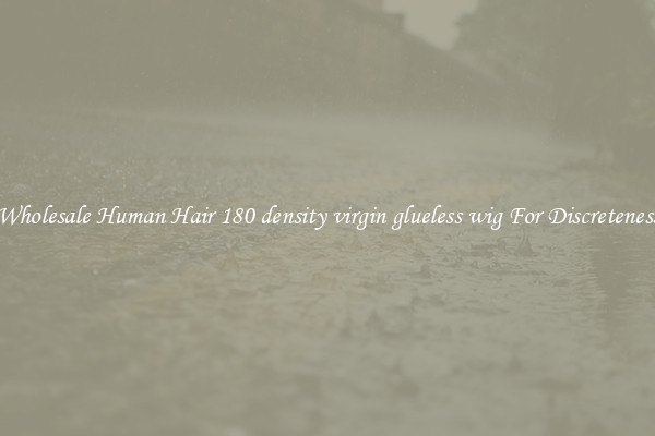 Wholesale Human Hair 180 density virgin glueless wig For Discreteness