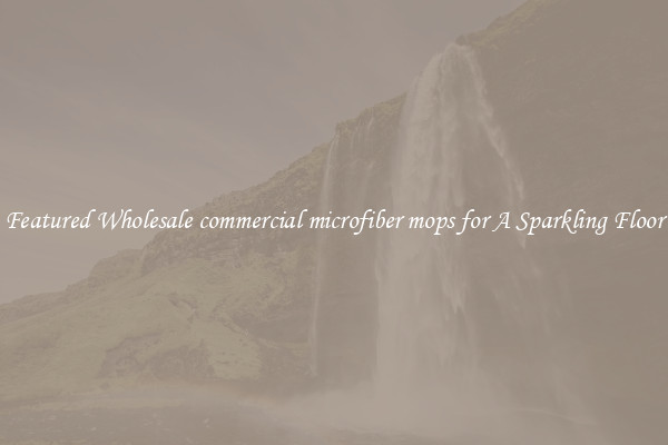 Featured Wholesale commercial microfiber mops for A Sparkling Floor