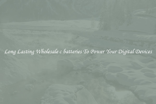 Long Lasting Wholesale c batteries To Power Your Digital Devices
