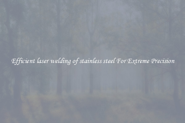 Efficient laser welding of stainless steel For Extreme Precision