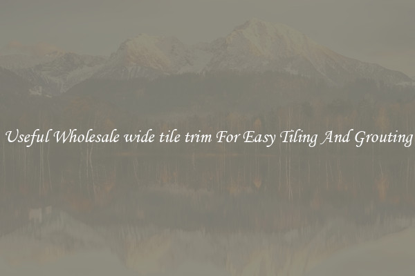 Useful Wholesale wide tile trim For Easy Tiling And Grouting