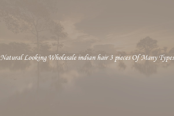 Natural Looking Wholesale indian hair 3 pieces Of Many Types