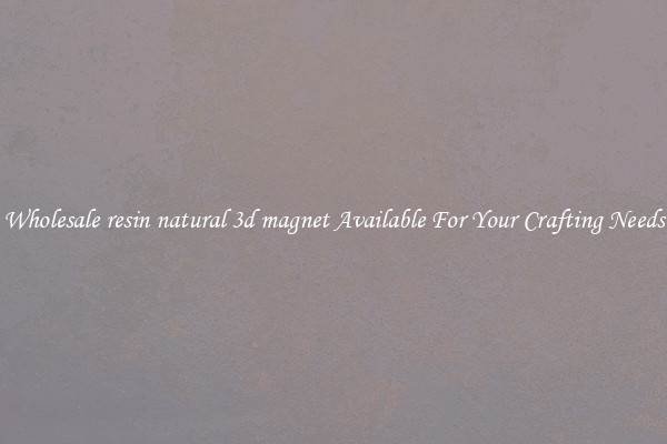 Wholesale resin natural 3d magnet Available For Your Crafting Needs