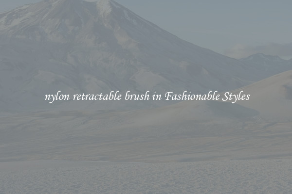 nylon retractable brush in Fashionable Styles