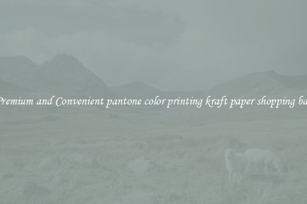 Premium and Convenient pantone color printing kraft paper shopping bag