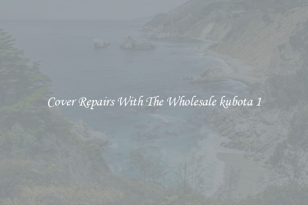  Cover Repairs With The Wholesale kubota 1 