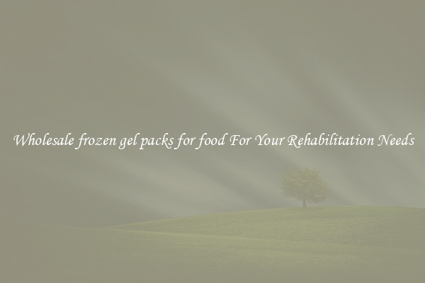 Wholesale frozen gel packs for food For Your Rehabilitation Needs