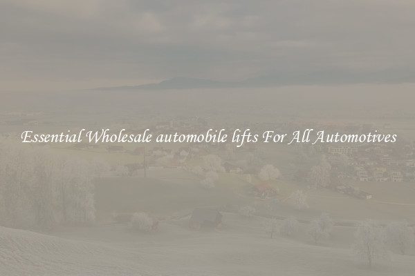 Essential Wholesale automobile lifts For All Automotives