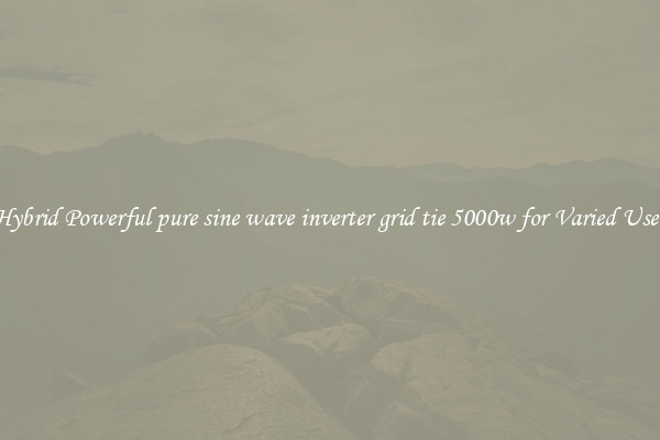 Hybrid Powerful pure sine wave inverter grid tie 5000w for Varied Uses