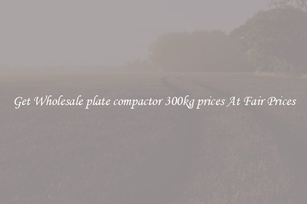 Get Wholesale plate compactor 300kg prices At Fair Prices